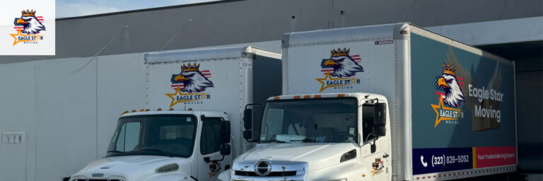 COVER eaglestarmoving1 768x256
